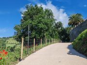 giardini-casteldarno_20240524_083934_1