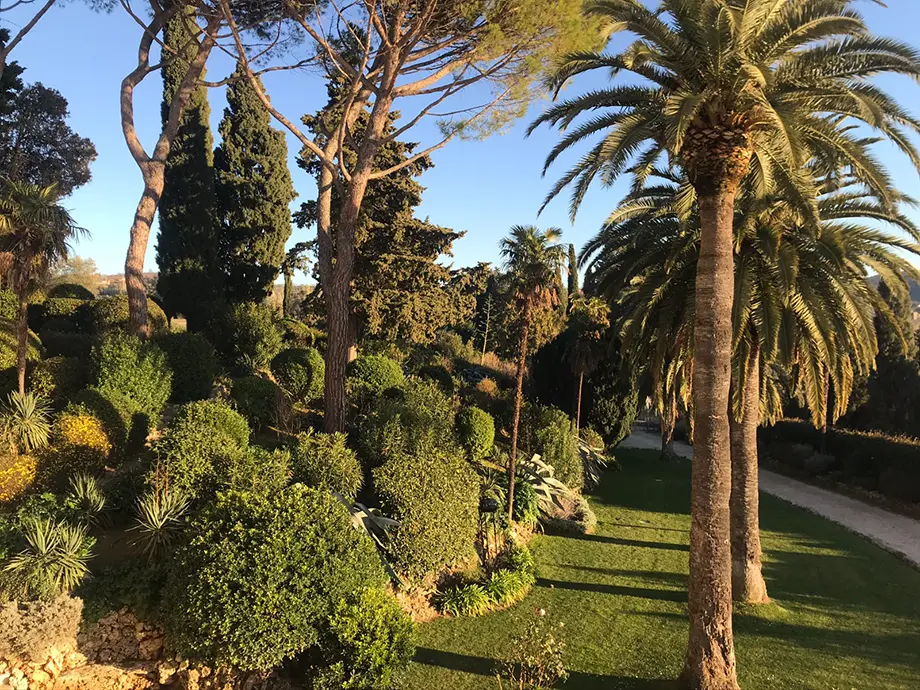 montedellago giardino mediterraneo