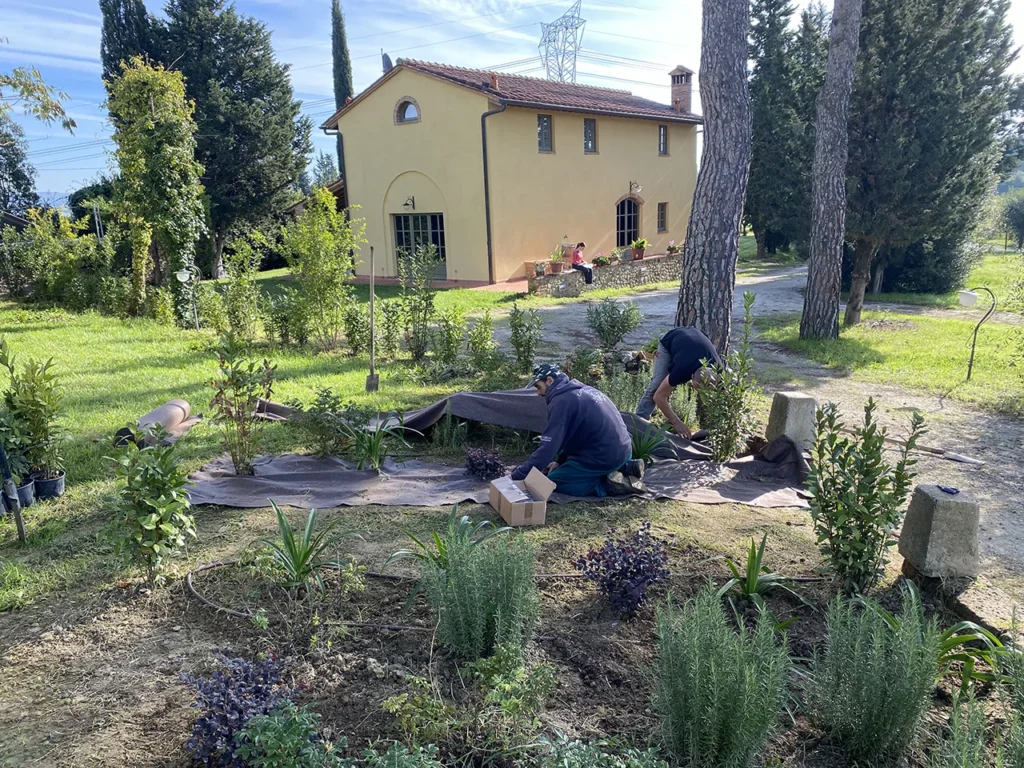 manutenzione del giardino