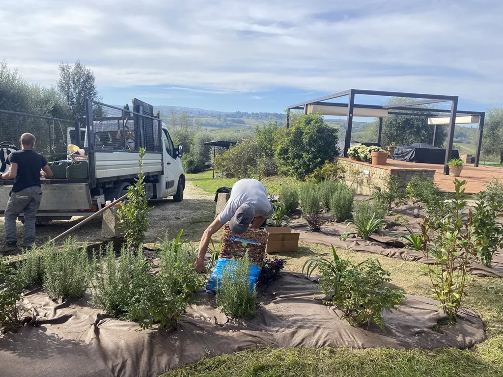 manutenzione del giardino